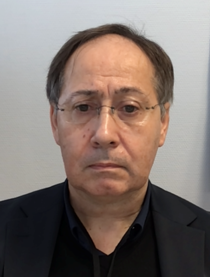 Michel der Michel der