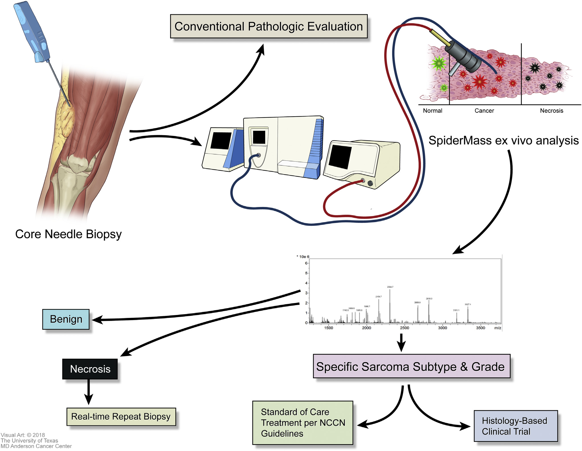 Talk about SpiderMass