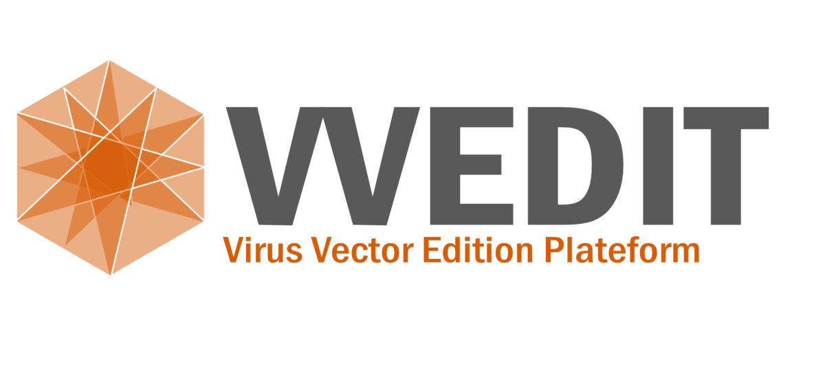 Logo VVEDITOrange TC22052023