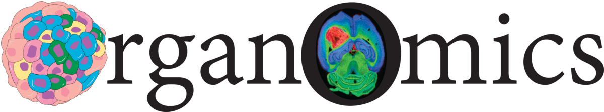 LogoOrganOmicsV4 1