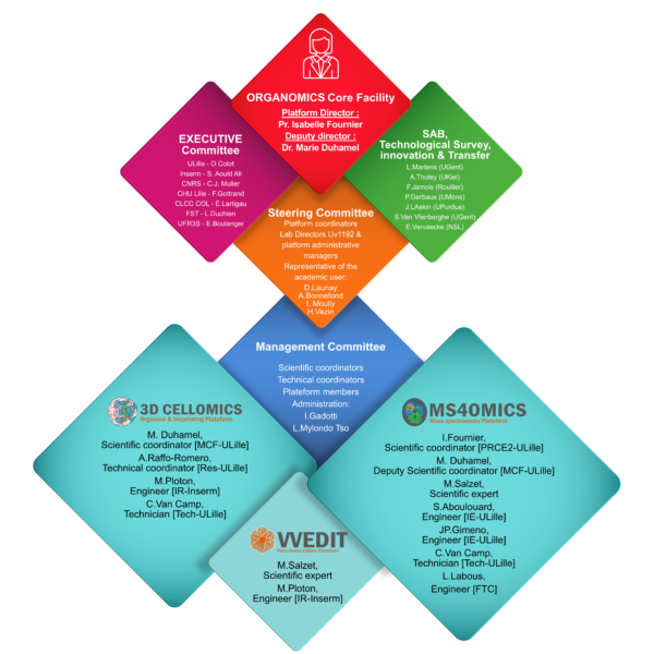 organigrammePlateforme21022025