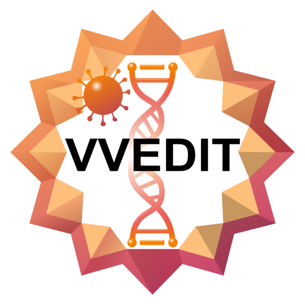 Logo vvedit2