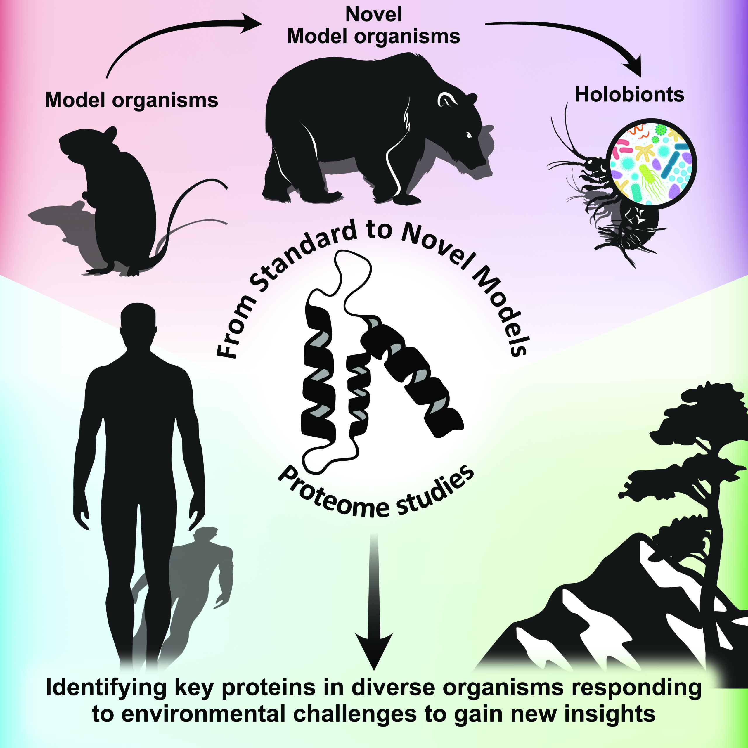 Novel model organisms and proteomics for a better biological understanding