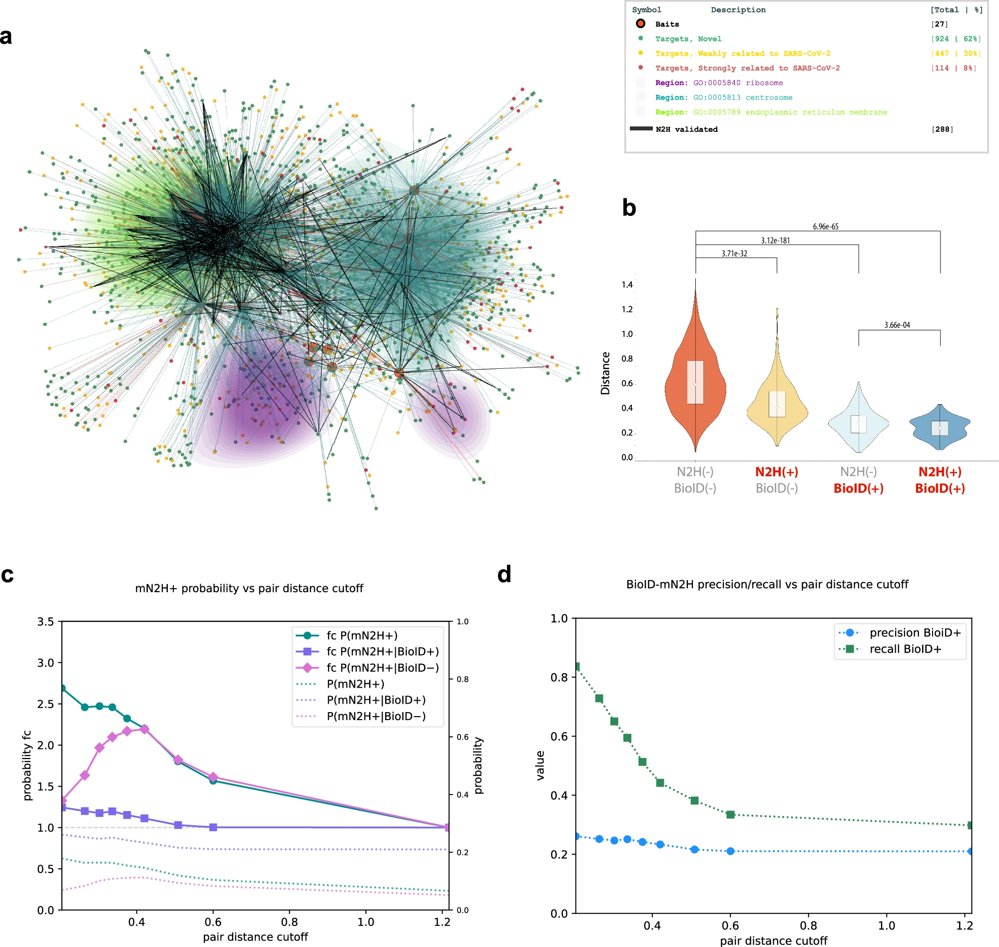 Multimodal SARS-CoV-2 interactome sketches the virus-host spatial organization