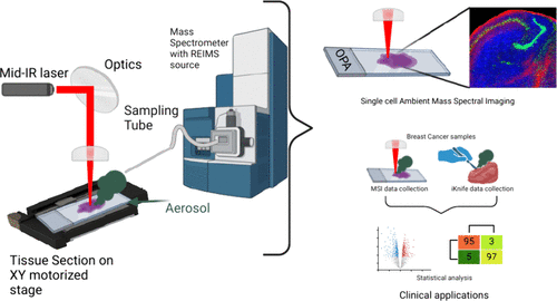 Subcellular-Resolution Molecular Pathology by Laser Ablation−Rapid Evaporative Ionization Mass Spectrometry