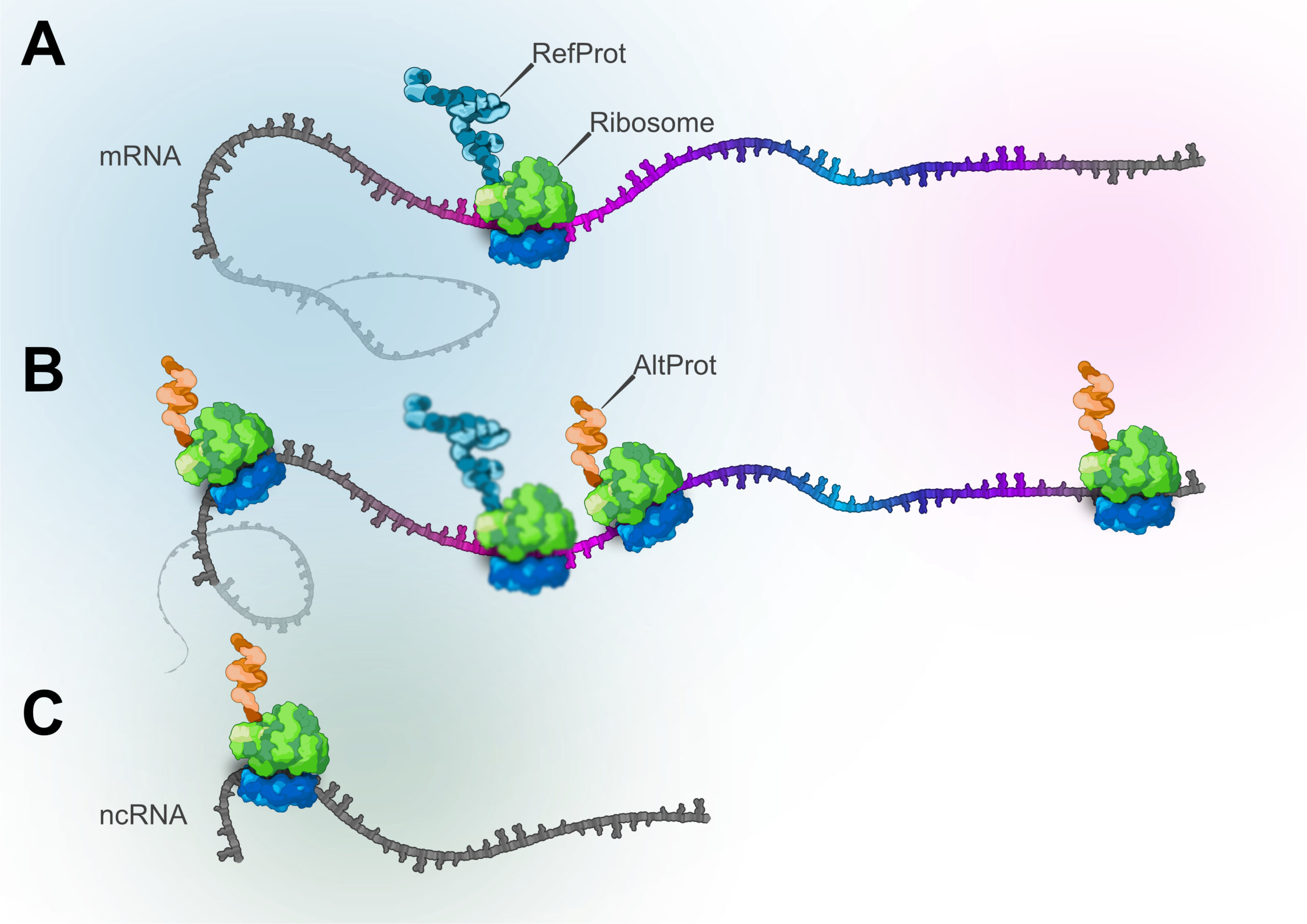 Chasing the Ghost Proteome in the Dark matter