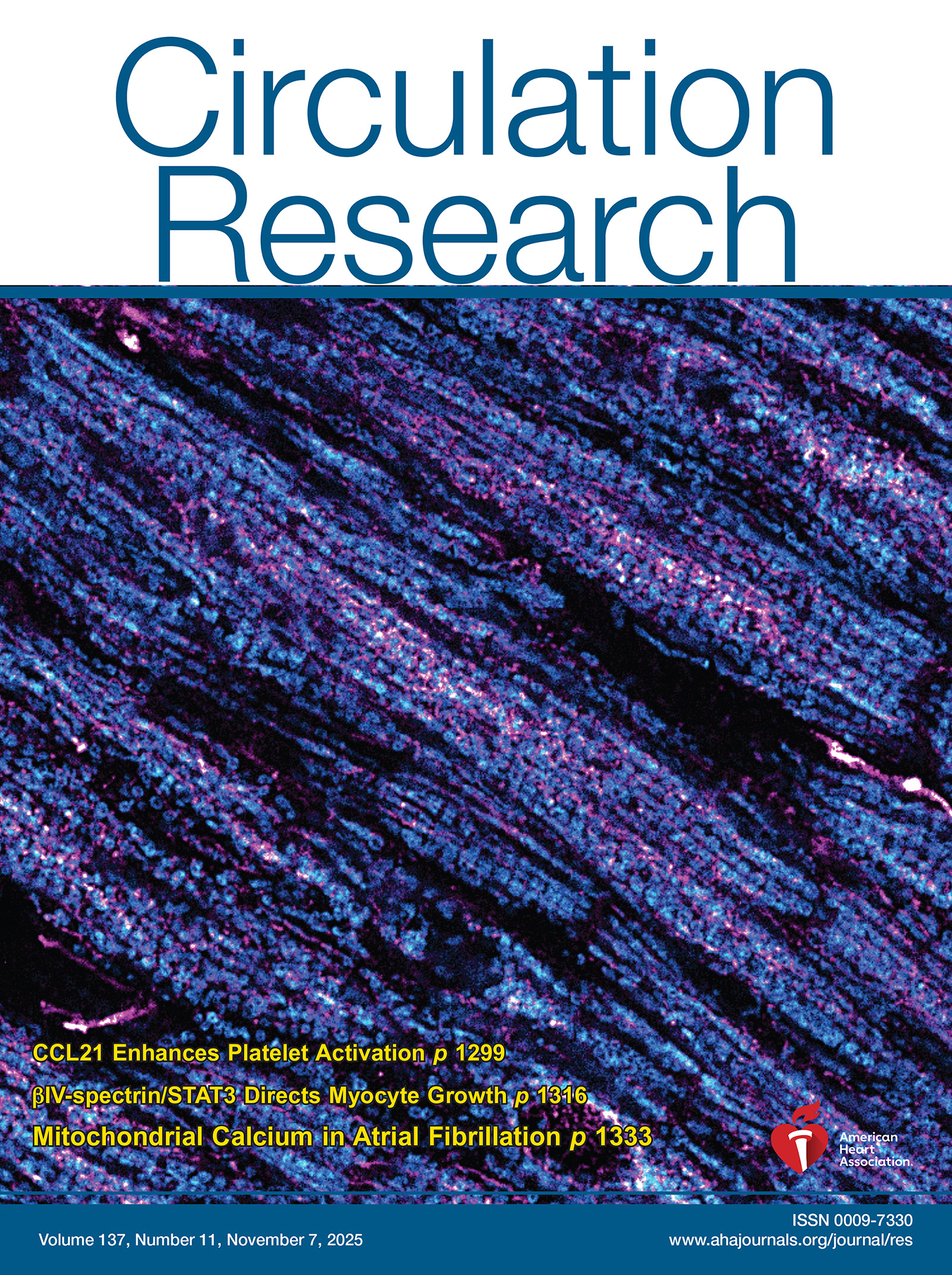 SCarP: Proteome Heterogeneity Characterization of Primary Mouse Cardiomyocytes
