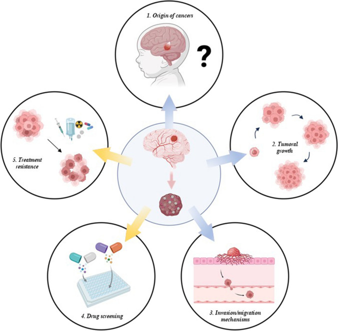 Patient-derived complex organoids are a critical tool to understand and explore pediatric malignant brain tumors