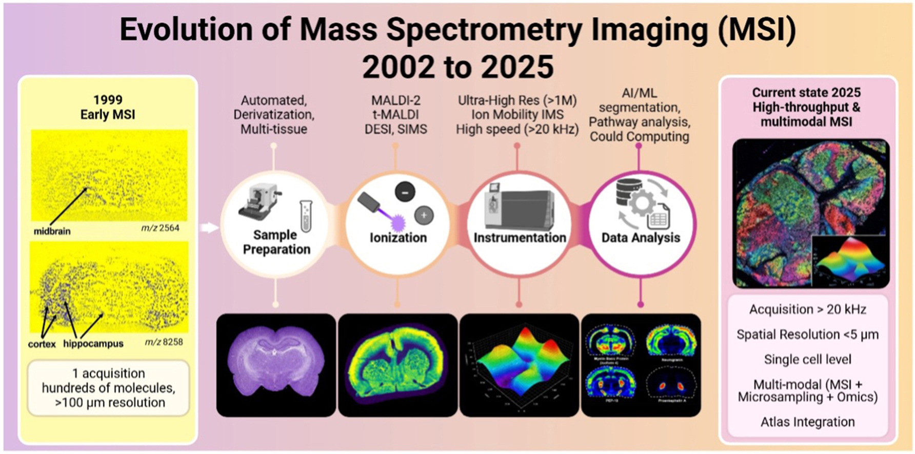 The evolution of MALDI mass spectrometry imaging